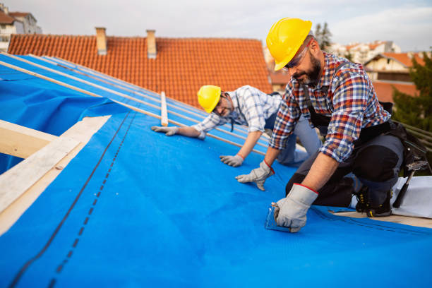 Best Gutter Installation and Repair  in Petersburg, VA