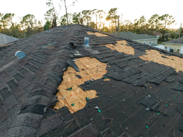 Best Roof Moss and Algae Removal  in Petersburg, VA